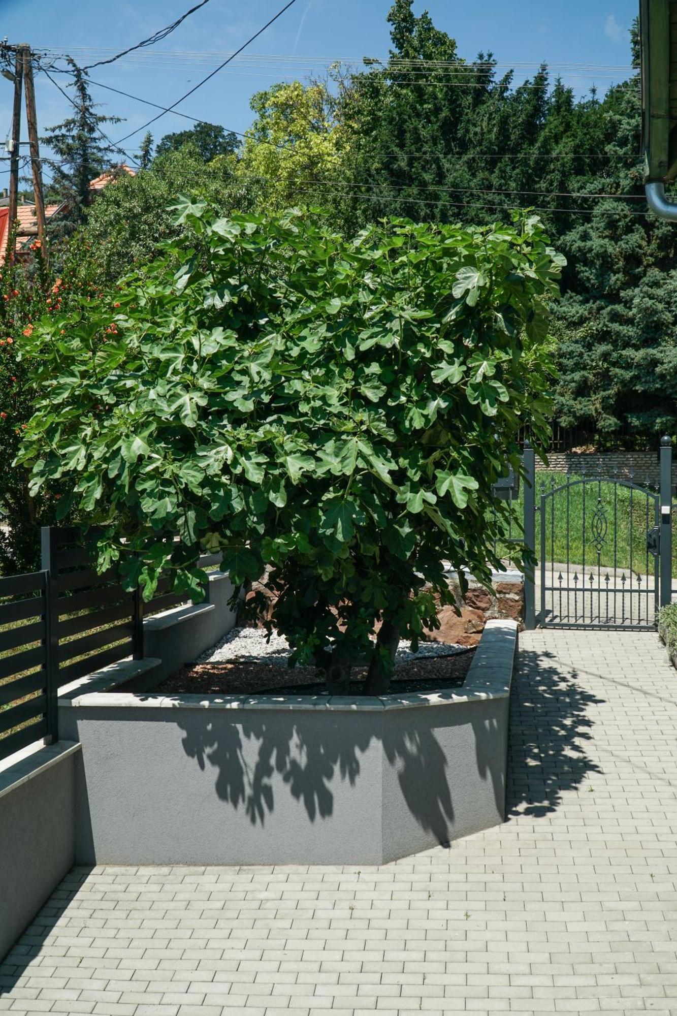 Fuegefa Apartman Balatonalmadi Bagian luar foto